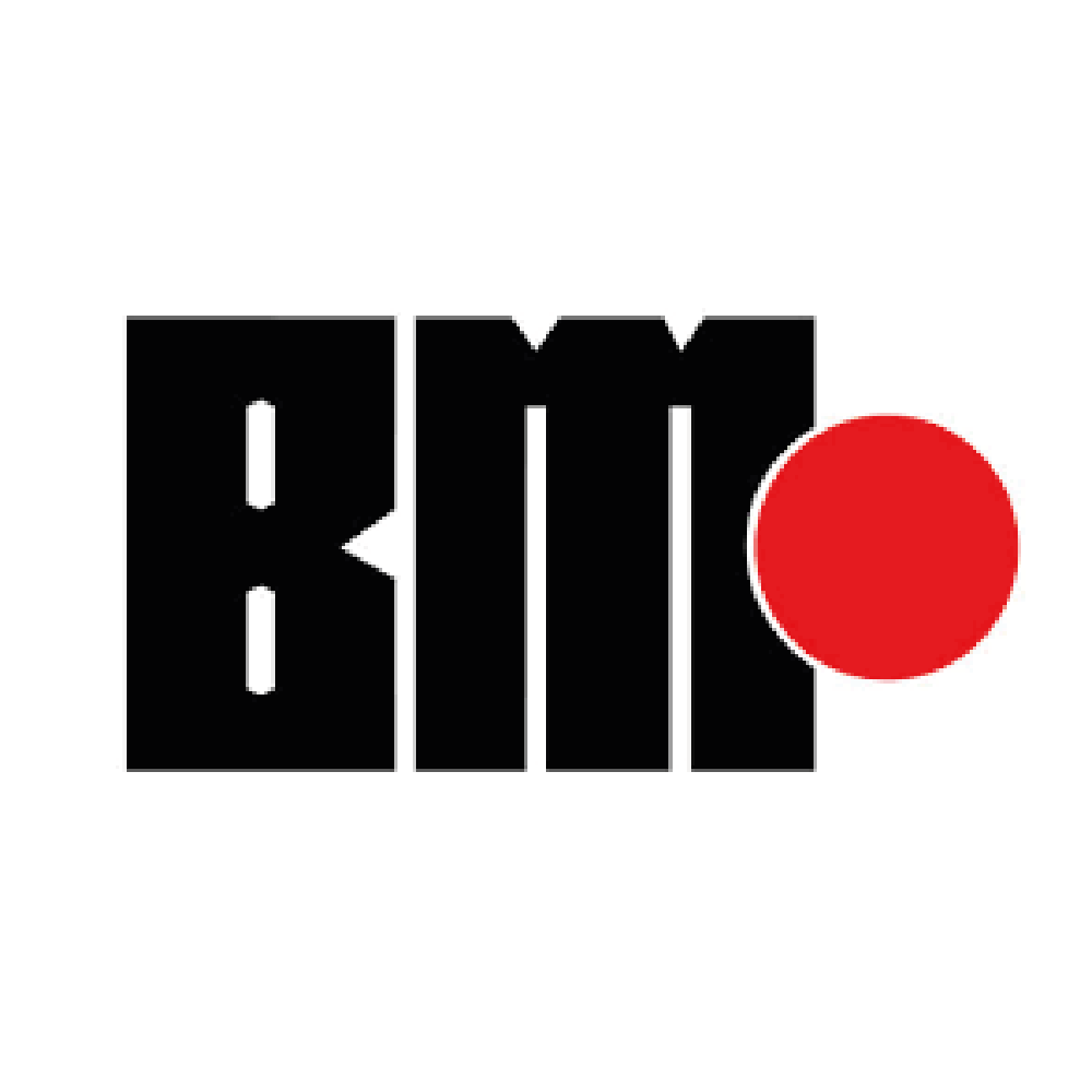 BM Holding
